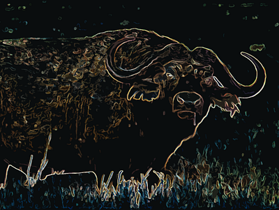 Cape Buffalo 1