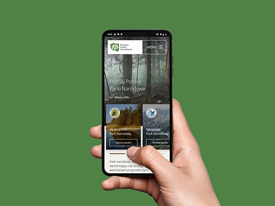 Polish National Parks - new website concept