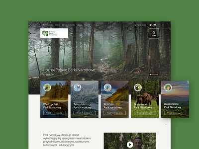 Polish National Parks - new website concept clean forest grid layout national parks park web web design website