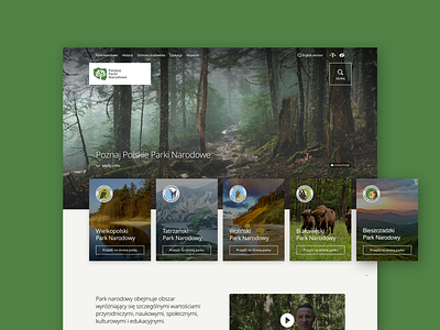 Polish National Parks - new website concept