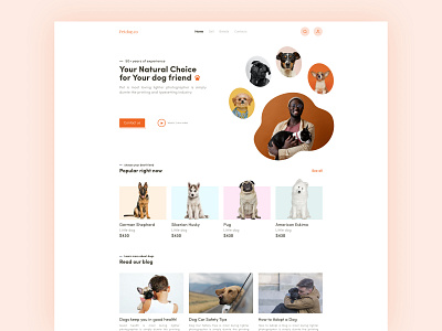 Dog shop website landing page ui design 2022 app clean dog figma landing page minimal mobile online pet product design responsive design shop store template trendy design ui ux vet web design website