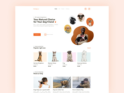 Dog shop website landing page ui design