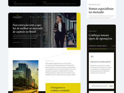 Antuerpia Capital app branding brasil business capital design illustration logo productdesign ui uidesign ux uxdesign webdesign website