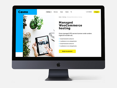 Website Caveo