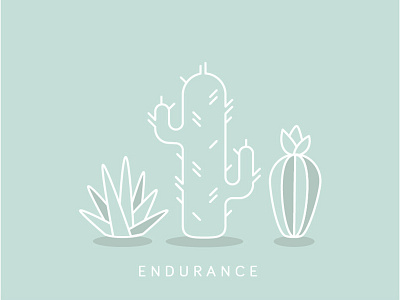 Lessons from Cacti: Endurance cacti cactus illustration