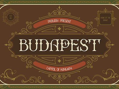 Budapest branding design illustration typography vector