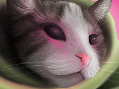Untitled adobe photoshop adorable cat digital painting green photoshop pink pink light