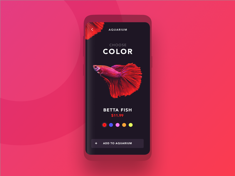 Fish Store UI dashboard buy aquarium color red app mobile design ui store fish