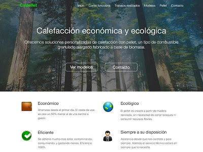Calpellet Homepage homepage web design website