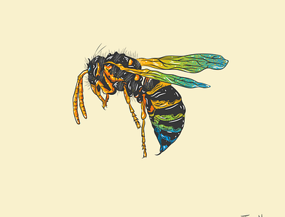 Wasp adobe branding graphic design graphic art illustration illustration art illustrations illustrator illustrator cc vector vector illustration vectorart