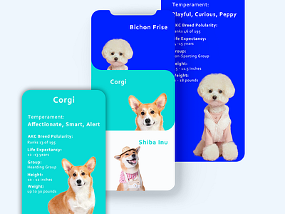 DailyUI 045 - Info Card dailyui doggy information card interaction design mobile app pets uxui