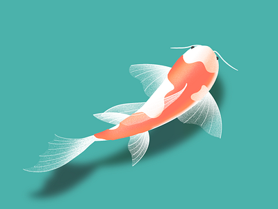 Koi Fish Illustration animal dailyui fish illustration illustrator koi fish uidesign ux design uxui water