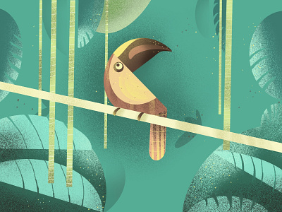 Illustration - Hornbill bird illustration design illustration illustration art nature art nature illustration ui