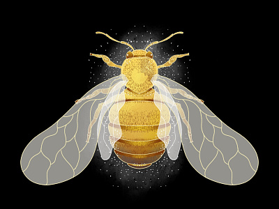 Illustration - Bee bee illustration illustration art illustrator insect nature art