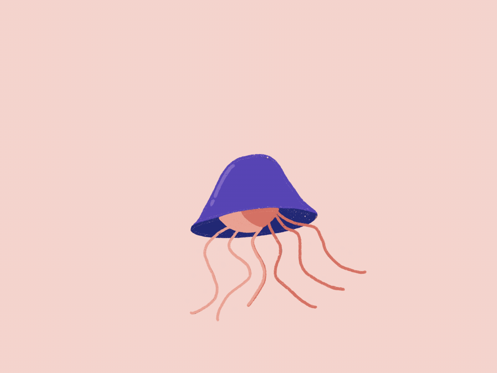 Illustration - Jellyfish Animation animation dailyui illustraion illustrator jellyfish nature art nature illustration