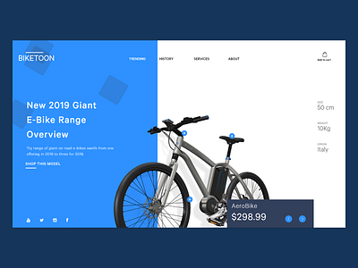 Webpage for the Bike