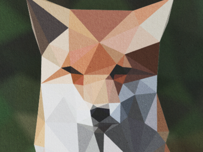 Fox cocobongo experiment generative art lab mesh triangles