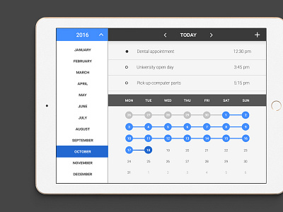 Calendar - Daily UI #38 calendar chart dailyui list schedule