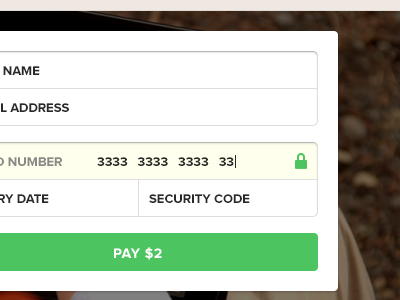 Payment button form interface pay secure