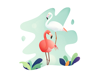 Illustration - flamingos