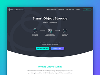 Chaossumo Website Full Homepage