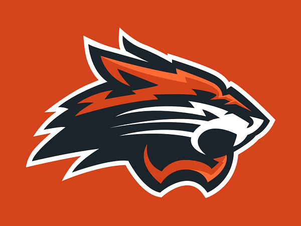 Wildcat by Crew Kinser on Dribbble