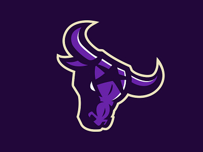 Lone Star Brahmas Concept branding bull head bull head logos identity logos sports design sports logos