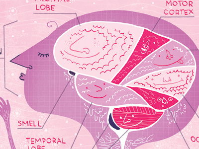 Nervous Systemclose Up By Rachel Ignotofsky human anatomy illustration poster