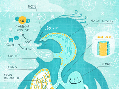 Respiratory System Poster