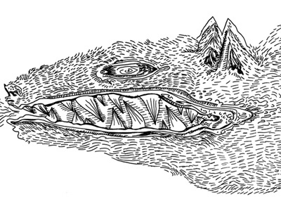wolfy illustration