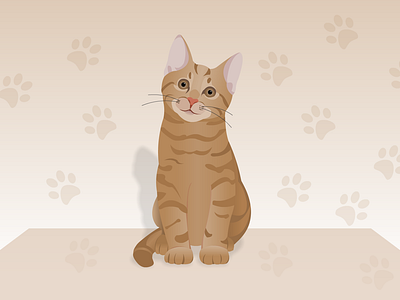 Cat Illustration 2d art illustration vector