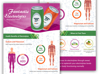 Wellness - Info Graphic Design 2d art branding design graphic design graphicdesign illustration infographic infographic design information information design logo vector wellness wellness design