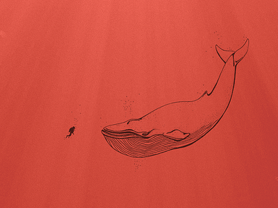 Scale Illustration illustration scuba diver whale