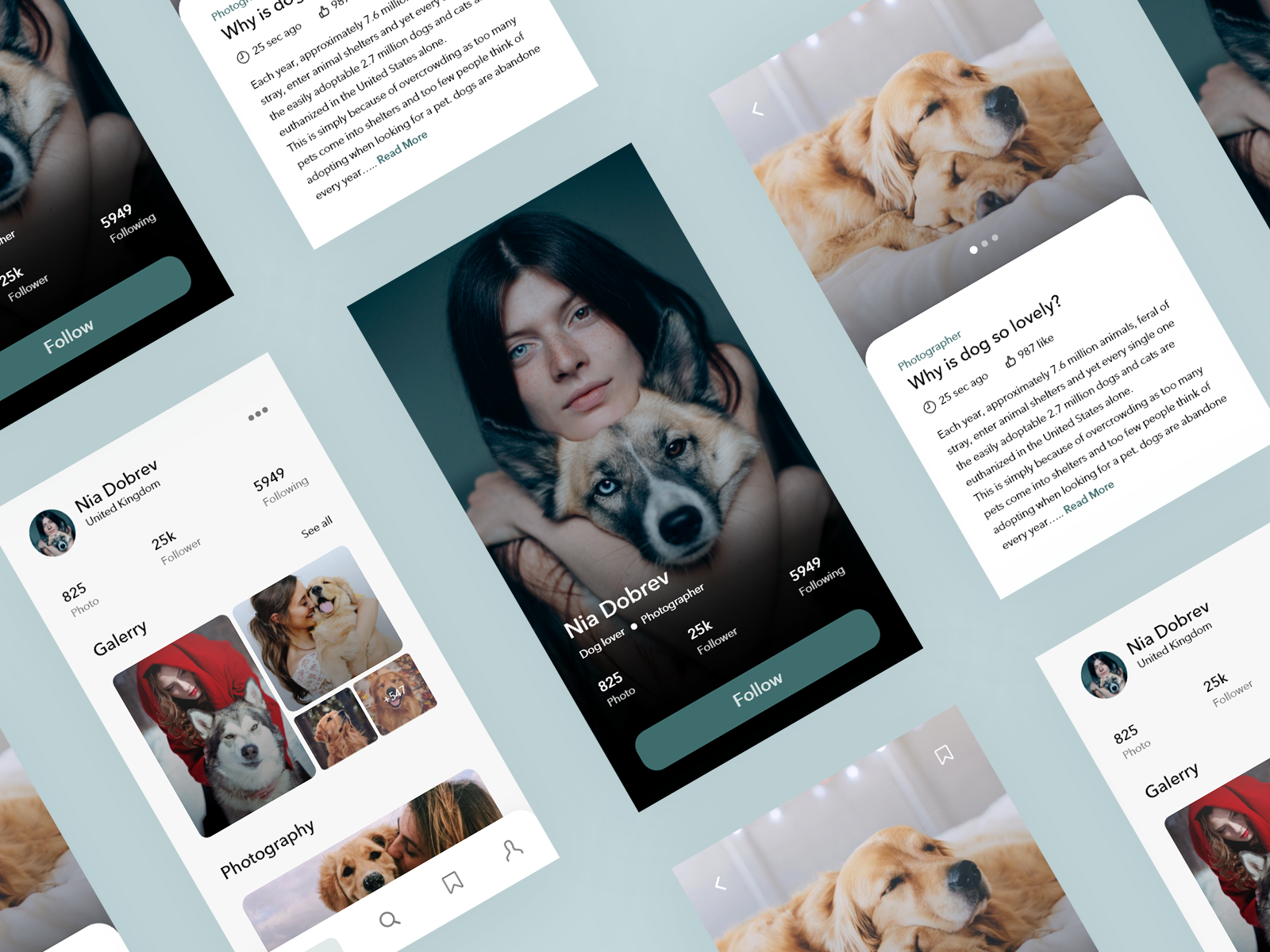 Blog Mobile App UI by Tati Pircxalava on Dribbble