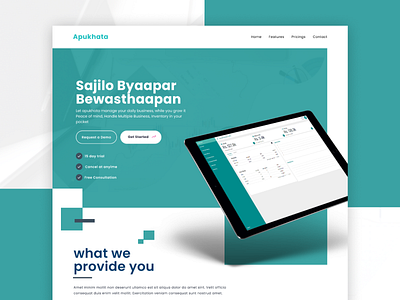 Apukhata: An Invoice App Landing Concept abstract branding corporate design kathmandu landing nepal software typography ui ux web webdesign website