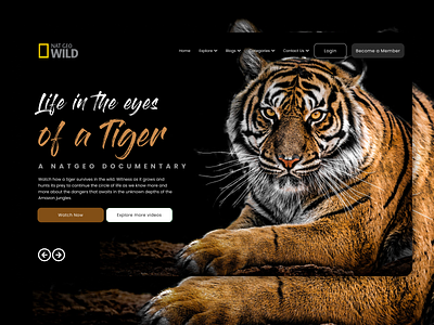 NatGeoWild: 10 minute designs art branding corporate design kathmandu nature nepal typography ui ux website wildlife