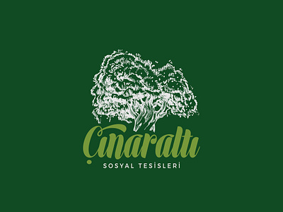 Çınaraltı / Logo Design arboreal brand green icon logo logo design logotype tree wood wooden