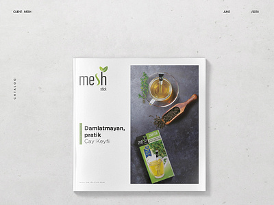 Mesh Stick Catalogue 2018 brand and identity branding branding design bussines card corporate branding corporate business card corporate identity design envelope design furniture idenity letterhead logo logo design typography visual design