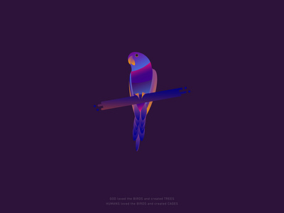 Bird 01