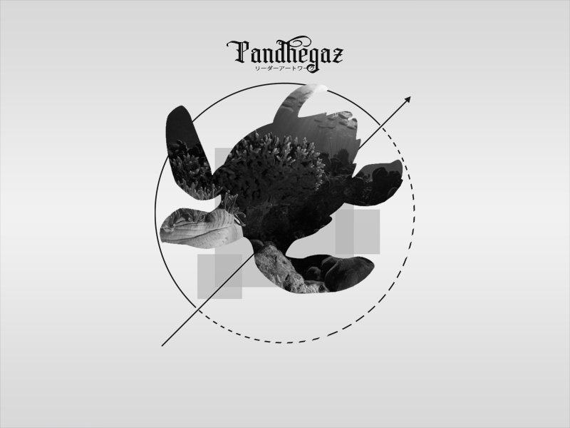 Fly travel nature turtle pandhegaz art vector illustration design