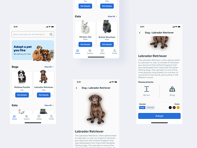 Pet Adoption App UI Deisign appdesign pet adoption pet app design pet app ui design ui uidesign uiuxdesign uxdesign