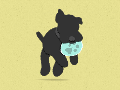 Pet photography illustration ball blue branding cute dog fur identity illustration logo pet photography silhouette terrier yellow