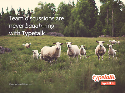 No Baaah-ring Team Discussions! app banner chat cheeky grass green marketing sheeps typetalk