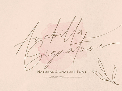 Arabilla Signature branding design font free font line logo luxury font script font signature font type typography