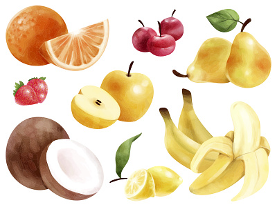 Fruits food fruits illustration procreate vector