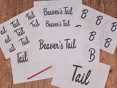 Beaver's Tail Logo branding custom lettering logo sketch typography