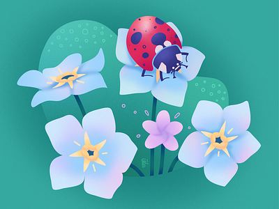Vector illustration "Forget-me-nots with a ladybug"