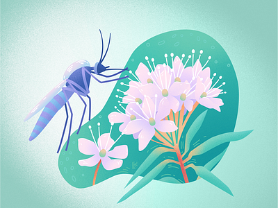 Vector illustration "A rosemary and a mosquito"