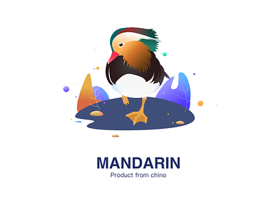 Mandarin animal poster color colors graphic illustration
