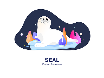 Animals Seal animal color colors graphic illustration poster